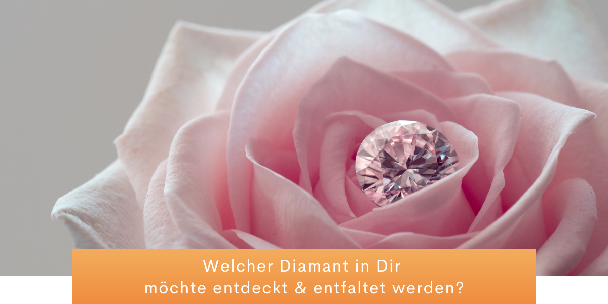 Diamond's & Lily's Aufstellungen