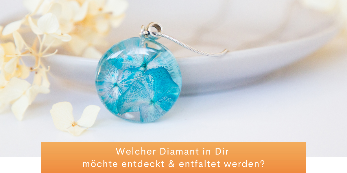 Diamond's & Lily's Aufstellungen